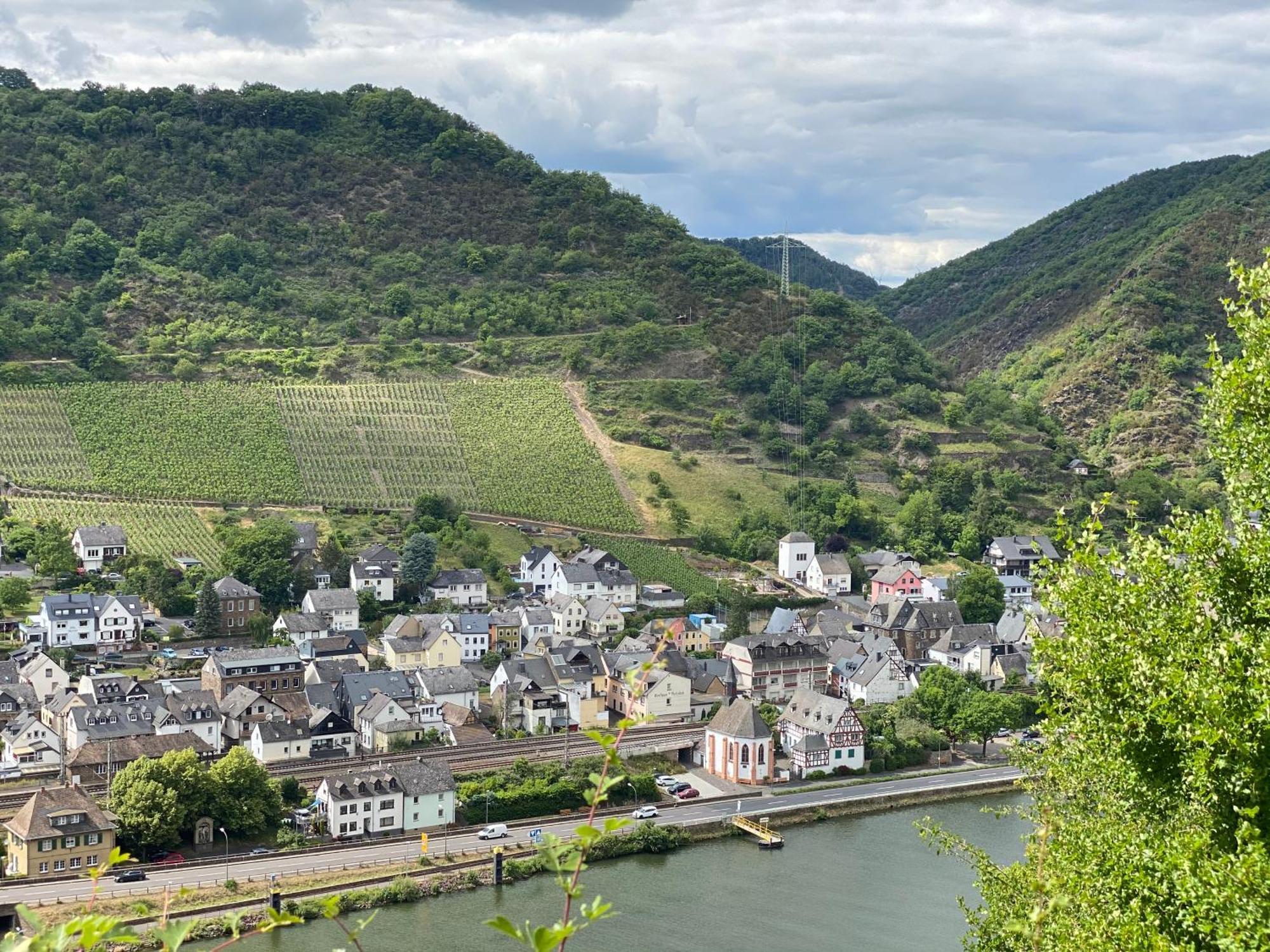Mike'S Mosel Lodge Treis-Karden Exterior foto